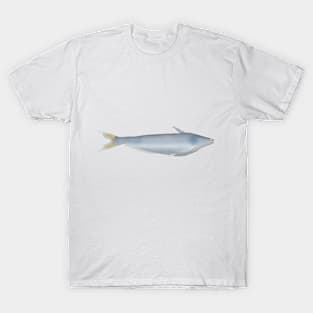 Egyptian Butter Catfish T-Shirt